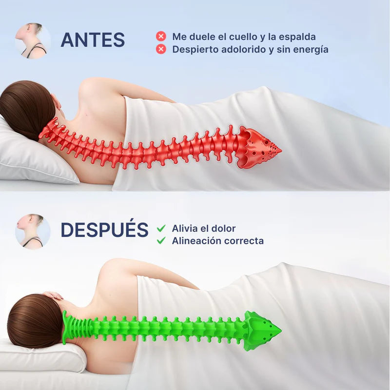 OrthoSleep Almohada Cervical+ Ebook Gratis